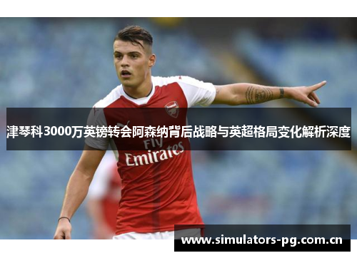 津琴科3000万英镑转会阿森纳背后战略与英超格局变化解析深度 津琴科3000万英镑转会阿森纳背后战略与英超格局变化解析深度